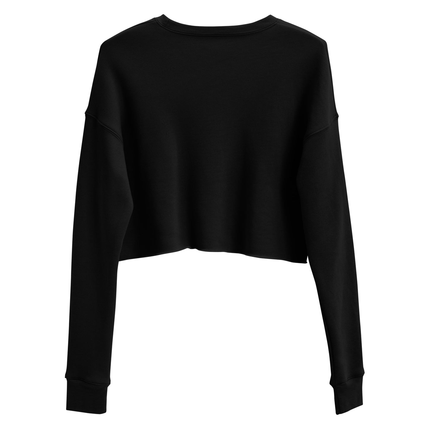 The Lakes Collection: Torch cropped sweatshirt